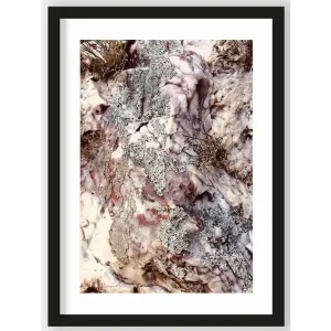 Hete Deal Art Print Stone Plants